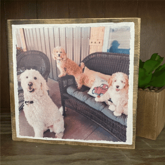 10X10 COLOR PHOTO BLOCK